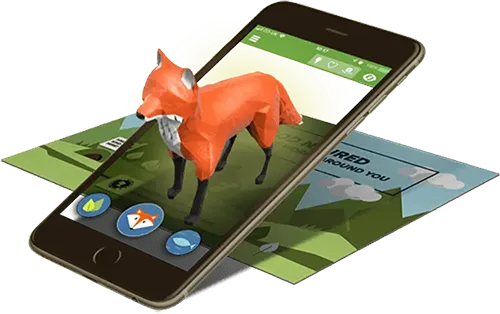 Envision Web Services